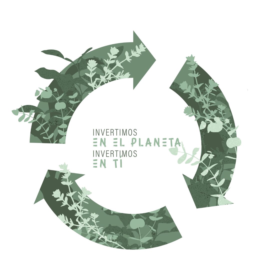 Economía circular: Analisis Ciclo De Vida