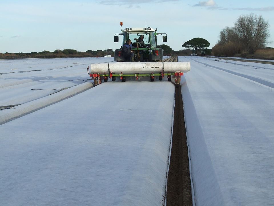 Instalación de la manta térmica DNT Agro